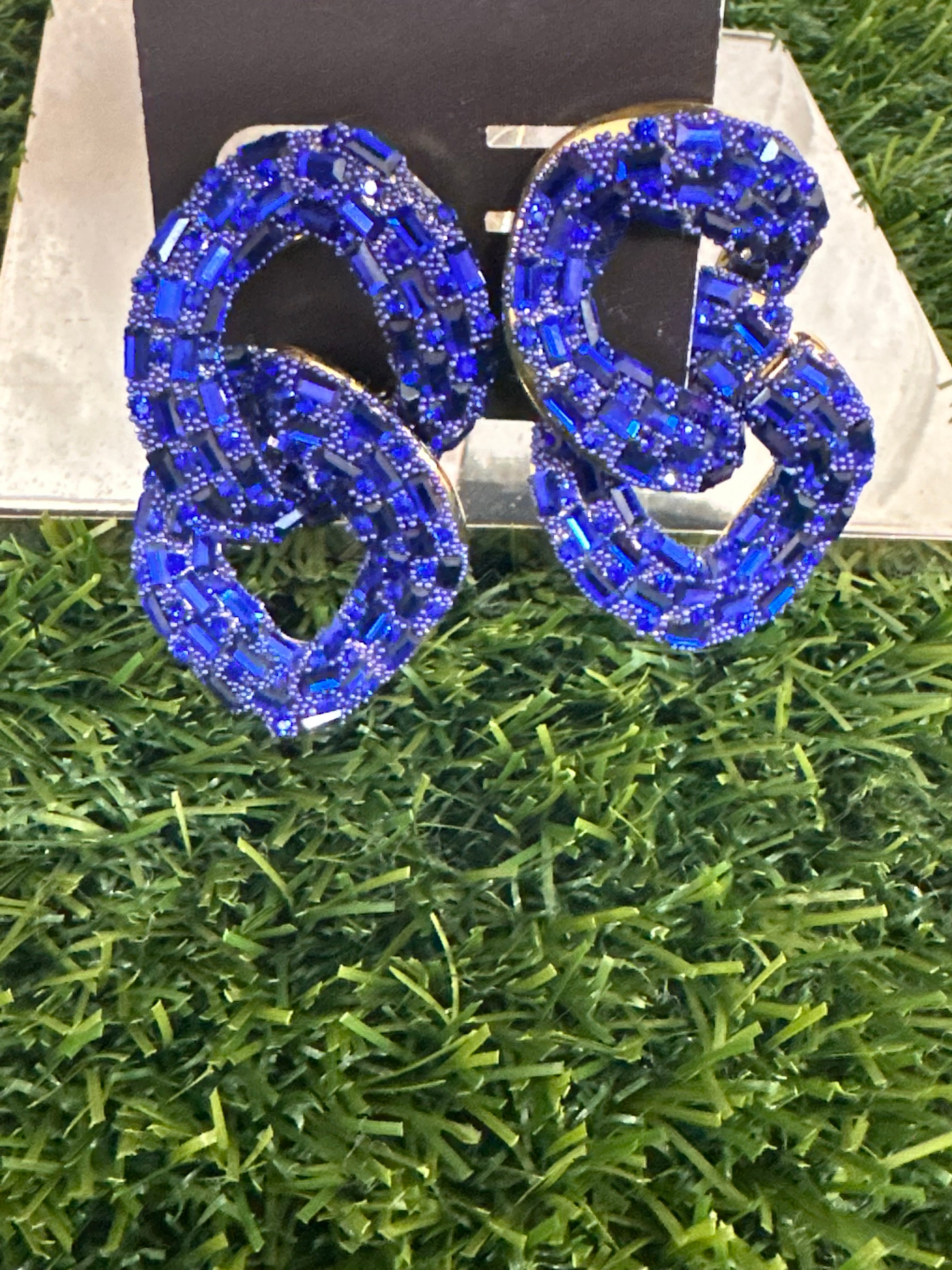 Royal twist Earrings